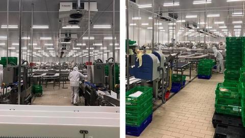 Imágenes de la planta de producción de Avícola de Galicia en Cambados con las medidas de seguridad incrementadas tras el incremento de la distancia entre operarios.
