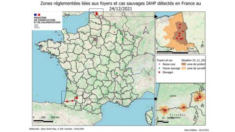 Zonas restringidas relacionadas con los focos de influenza aviar altamente patógena y los casos silvestres detectados en Francia.