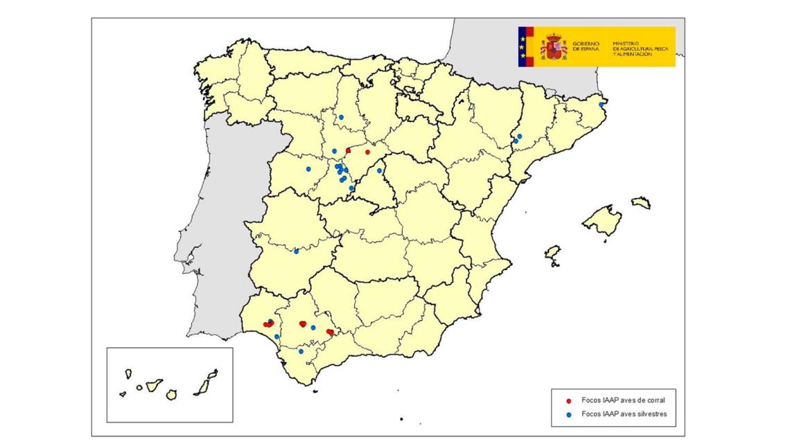 Localización de los focos totales de IAAP detectados en 2022 en España.