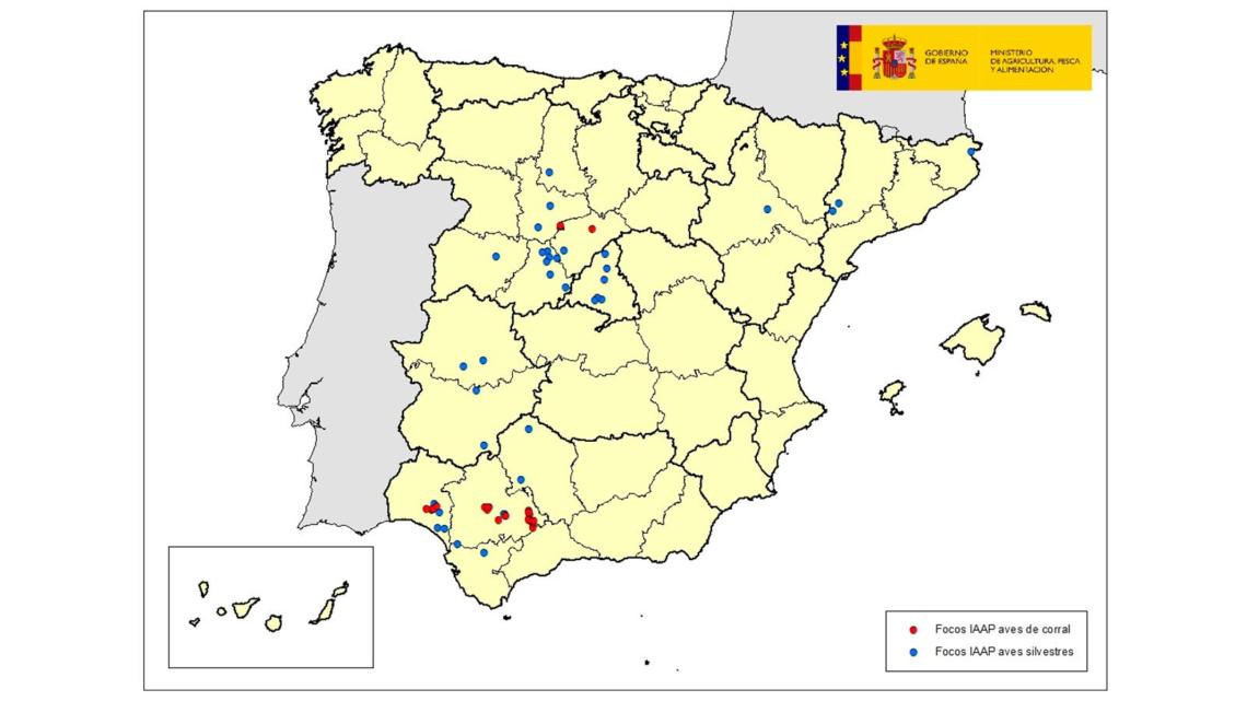 Localización de los focos totales de influenza aviar destetados en 2022 en España.