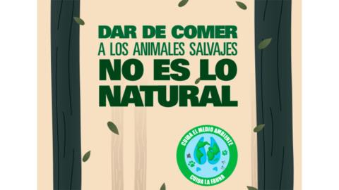 La campaña ‘Dar de comer a los animales silvestres no es lo natural’ se lanzó por primera vez en julio del 2021.