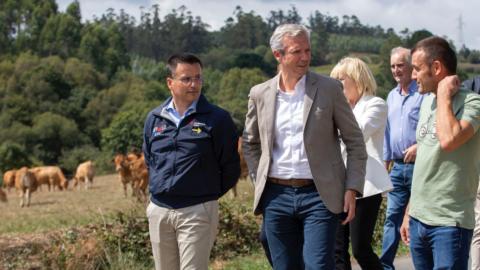 El presidente de la Xunta, Alfonso Rueda, durante la visita a una explotación de vacuno de carne en Trazo