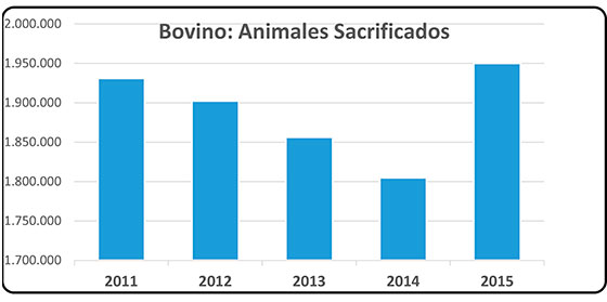 Bovino-Animales-Sacrificados.jpg