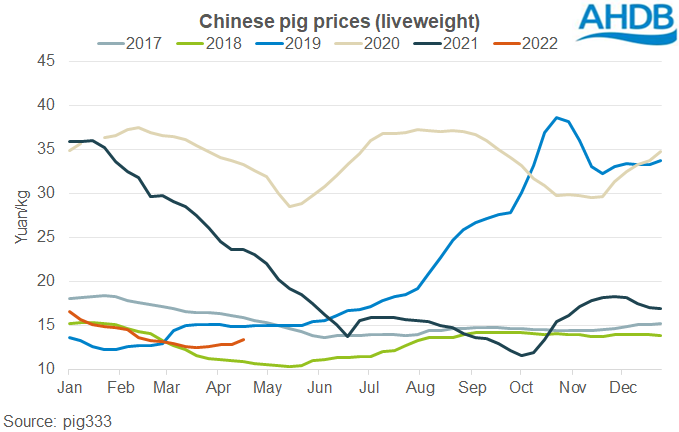China live pigs