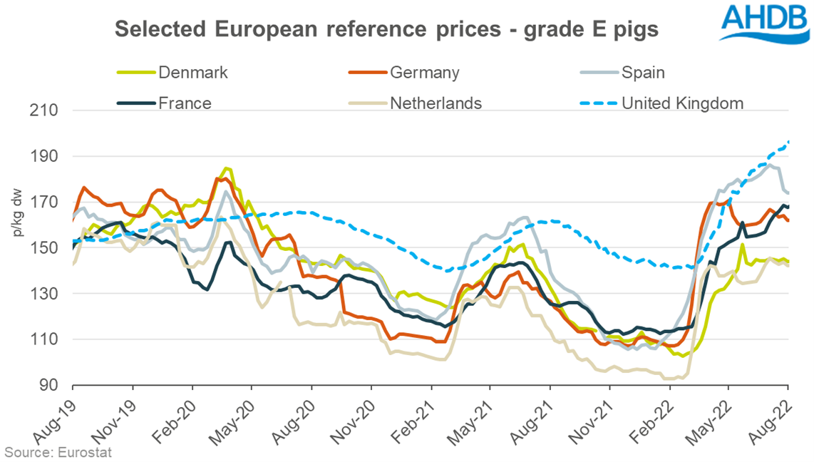 EU pig prices 14.08