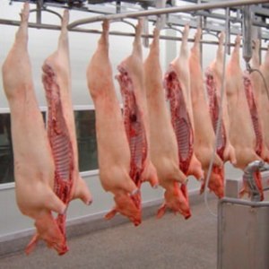 El Copa-Cogeca destaca la importancia de abrir nuevos mercados a la carne de porcino
