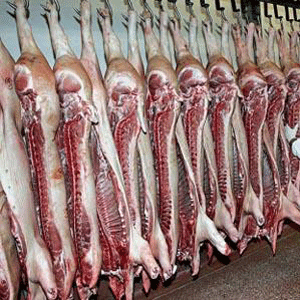 268 empresas pueden exportar porcino a Japón