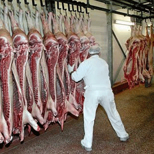 Las ventas de carne a Rusia suponen cerca de 263 millones de euros