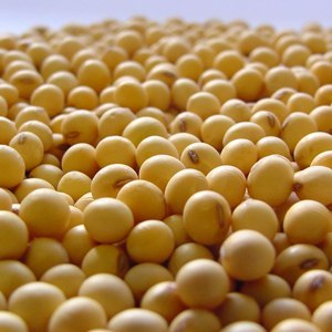 Entre los productos que se han pedido importar están varias partidas de soja