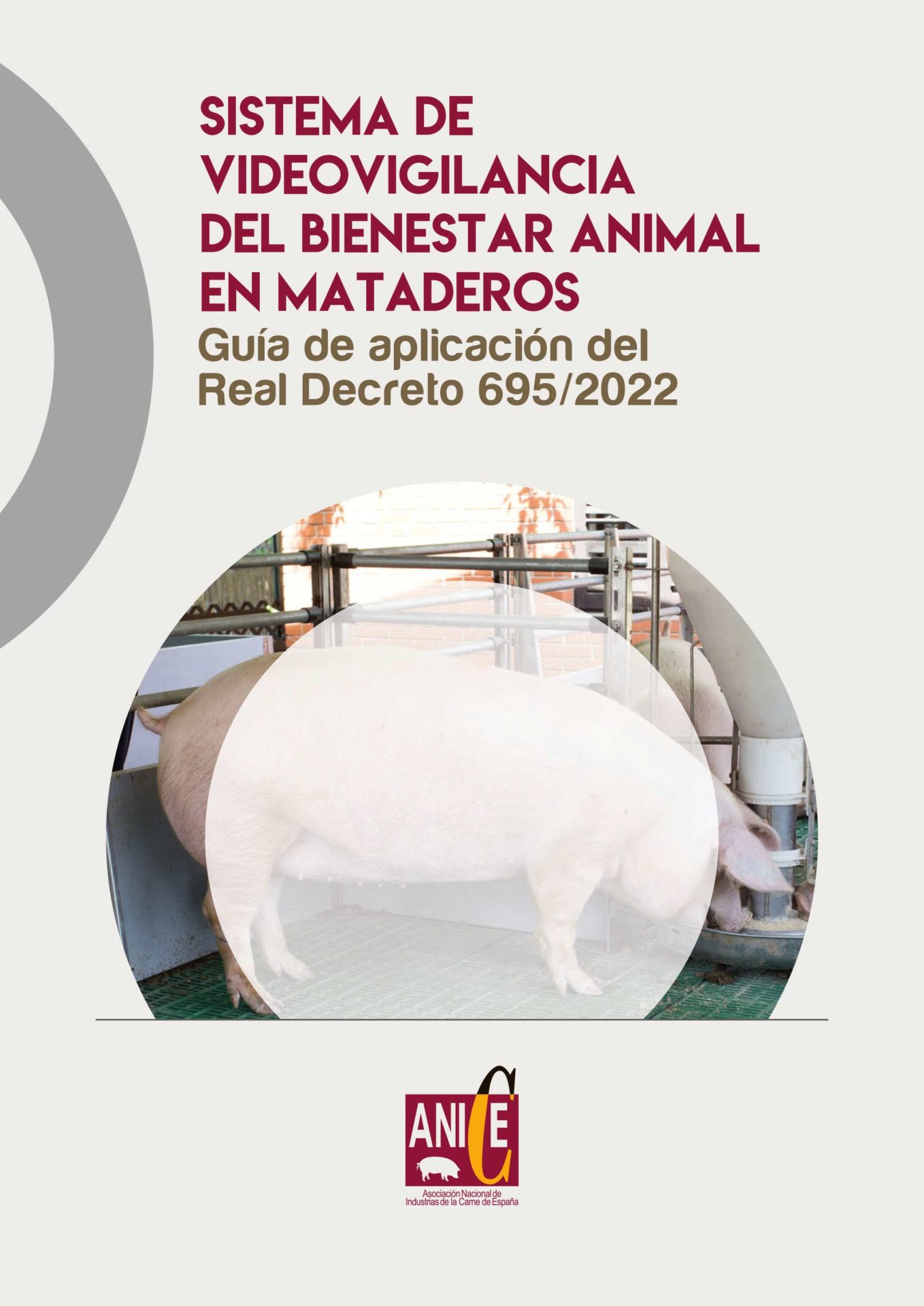 ANICE crea un manual para facilitar la aplicación del Sistema de  Videovigilancia del Bienestar Animal - Cárnica 