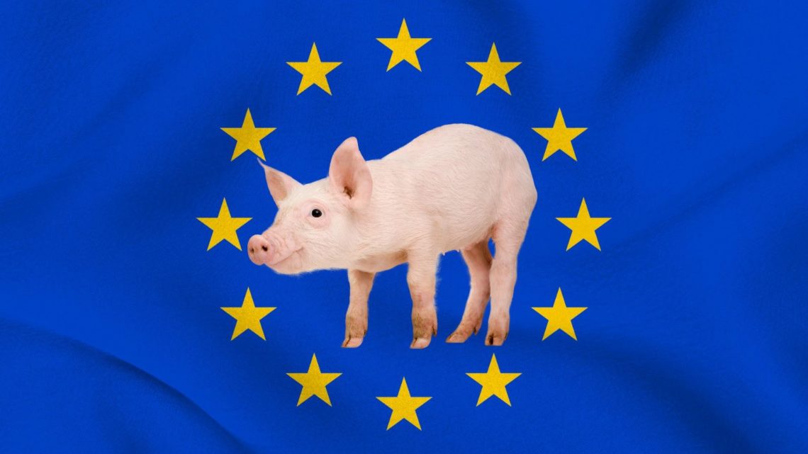 imagen recurso bandera UE y cerdito