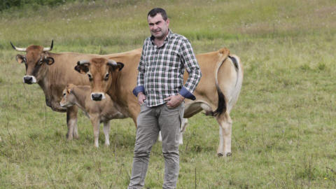 foto de ruben fernandez junto con vacas