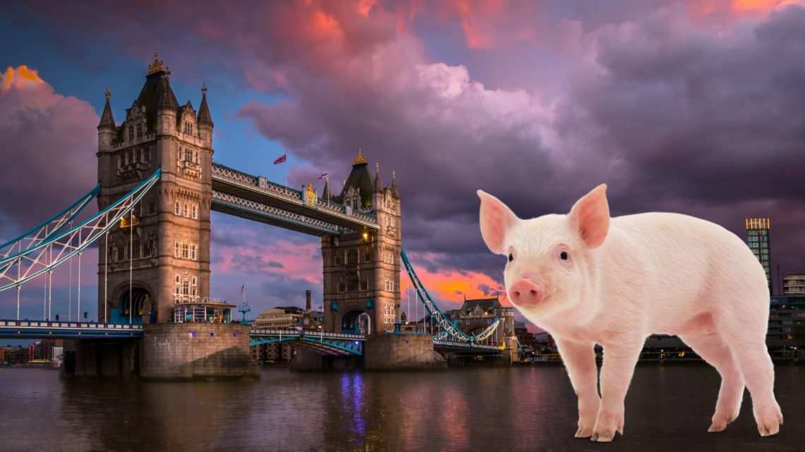Exportaciones de carne de cerdo en Reino Unido