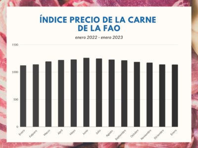 Índice FAO de precios de la carne: continua la tendencia a la baja en enero, por séptimo mes consecutivo