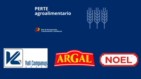 Tres de los principales grupos cárnicos de España licitan por 120 millones de euros del PERTE Agroalimentario
