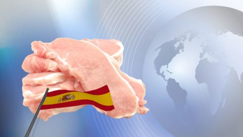 composicion carne porcina bandera españa y bola del mundo