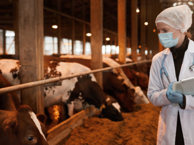 27/04. Día del Veterinario: “La labor del veterinario frente a una pandemia global es vital y muchas veces permanece invisible”