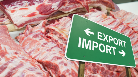 exportación carne