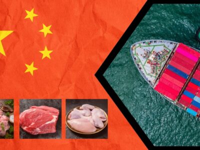 China reducirá significativamente sus importaciones de carne de porcino, vacuno y pollo este año, según el USDA