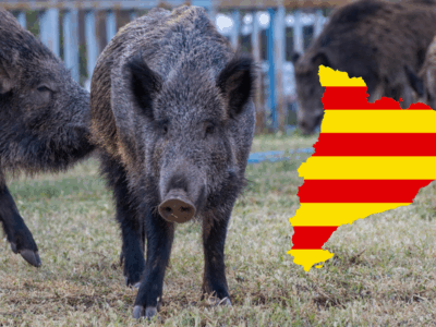 Última hora: El MAPA llama a la calma ante la PPA, “Nos enfrentamos a un horizonte largo de 12 meses”