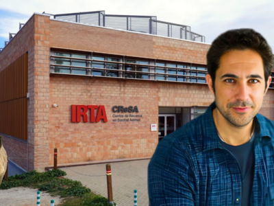 “Si hubiera salido de un laboratorio, sería idéntico a Georgia 2007… y no lo es”: el IRTA-CReSA defiende su inocencia como origen del brote de PPA