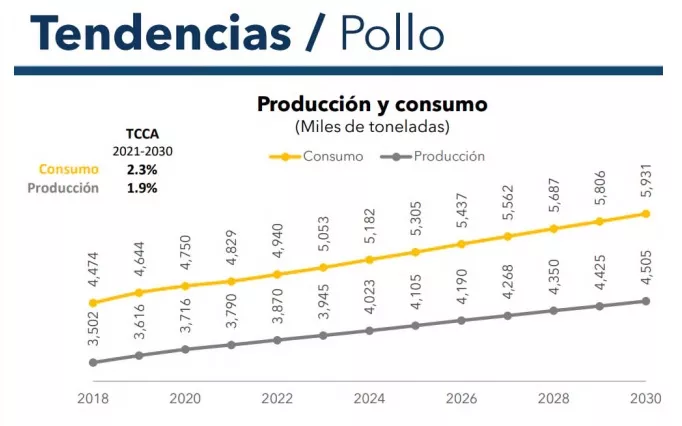 El consumo de carne de pollo en México alcanzará las 4,85 millones de  toneladas en 2022